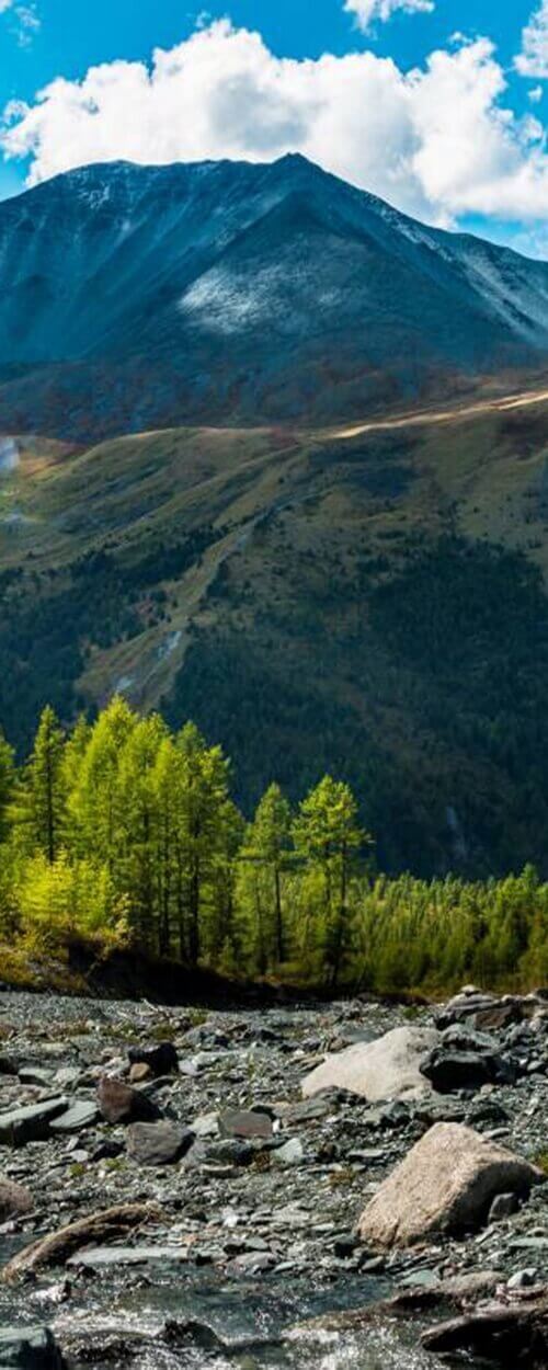Пример изображения для макета изображения на стекле, фото 11